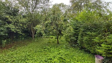 Maison a vendre Liessies 59740 Nord 136 m2 6 pièces 105500 euros