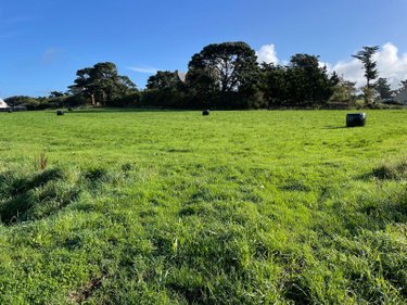 Terrain a batir a vendre Plougasnou 29630 Finistère 324 m2  45400 euros