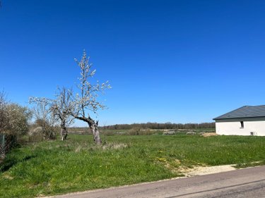Terrain a batir a vendre Chaource 10210 Aube 1012 m2  25500 euros