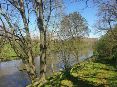 Location propriete Moulay 53100 Mayenne 163 m2 6 pièces 1300 euros