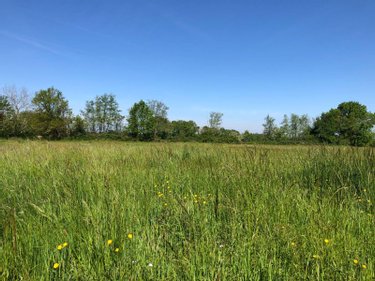 Terrain a batir a vendre Saint-Germain-du-Bois 71330 Saône-et-Loire  40500 euros