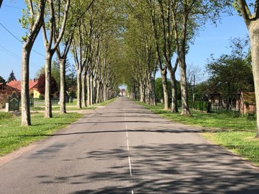 Terrain a batir a vendre Saint-Germain-du-Bois 71330 Saône-et-Loire  40500 euros