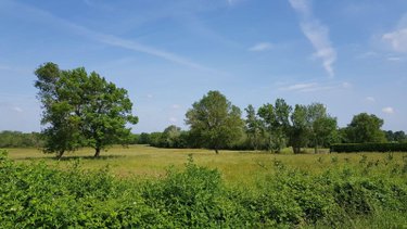 Terrain a batir a vendre La Chapelle-Montmartin 41320 Loir-et-Cher 4170 m2  35780 euros