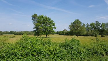 Terrain a batir a vendre La Chapelle-Montmartin 41320 Loir-et-Cher 4170 m2  35780 euros