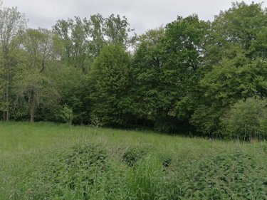 Terrain a batir a vendre Saint-Thurial 35310 Ille-et-Vilaine 2213 m2  56000 euros