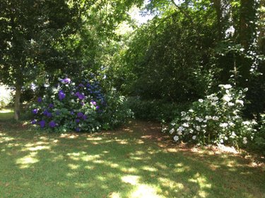 Maison a vendre Pluméliau-Bieuzy 56930 Morbihan 206 m2 7 pièces 243800 euros