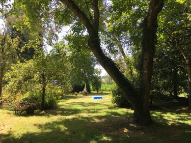 Maison a vendre Pluméliau-Bieuzy 56930 Morbihan 206 m2 7 pièces 243800 euros