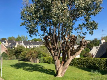 Maison a vendre Brest 29200 Finistère 120 m2 6 pièces 271800 euros