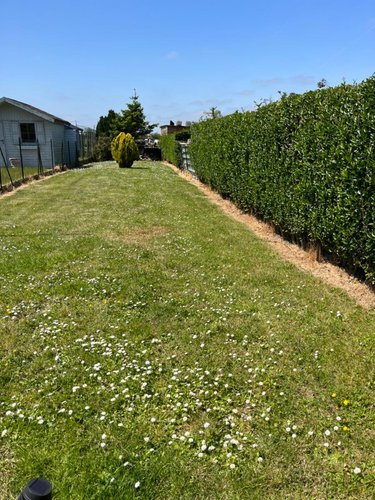 Maison a vendre Ghyvelde 59254 Nord 75 m2 4 pièces 126750 euros