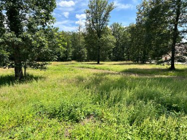 Terrain a batir a vendre Herbault 41190 Loir-et-Cher 1849 m2  75000 euros