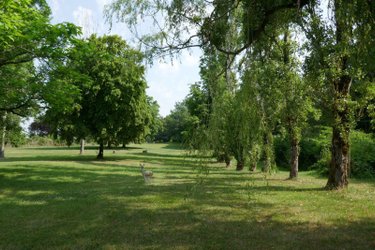 Viager maison Mosnay 36200 Indre 135 m2 4 pièces 75000 euros