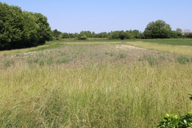 Terrain a batir a vendre Froidmont-Cohartille 02270 Aisne 6644 m2  46000 euros
