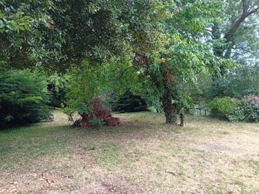 Maison a vendre Luché-Pringé 72800 Sarthe 50 m2  43900 euros