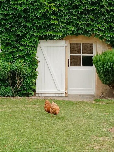Viager maison La Flèche 72200 Sarthe 183 m2 8 pièces 80000 euros