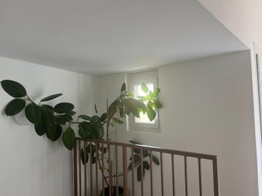 Maison a vendre Le Boulou 66160 Pyrénées-Orientales 70 m2 3 pièces 189000 euros