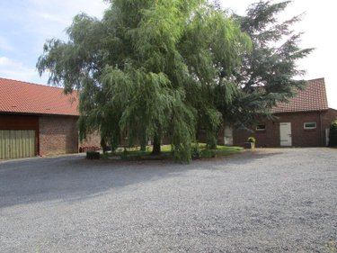 Location maison Bailleul 59270 Nord 147 m2  810 euros