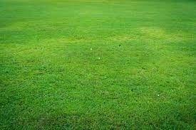 Terrain a batir a vendre Diors 36130 Indre 525 m2  22500 euros