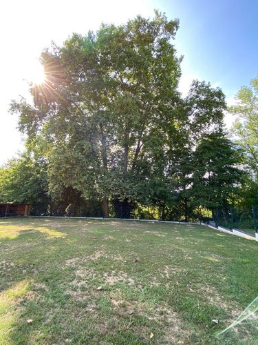 Maison a vendre Les Billaux 33500 Gironde 197 m2 5 pièces 433000 euros