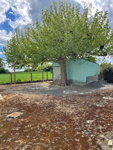 Maison a vendre Pellevoisin 36180 Indre 78 m2 5 pièces 75250 euros