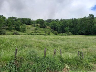 Terrains de loisirs bois etangs a vendre Laveissière 15300 Cantal 1450 m2  31000 euros