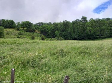 Terrains de loisirs bois etangs a vendre Laveissière 15300 Cantal 1450 m2  31000 euros