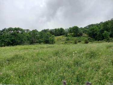 Terrains de loisirs bois etangs a vendre Laveissière 15300 Cantal 1450 m2  31000 euros