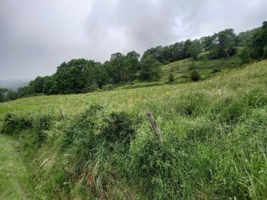 Terrains de loisirs bois etangs a vendre Laveissière 15300 Cantal 1450 m2  31000 euros