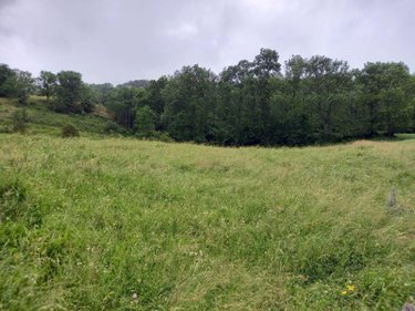Terrains de loisirs bois etangs a vendre Laveissière 15300 Cantal 1450 m2  31000 euros