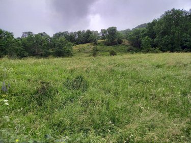 Terrains de loisirs bois etangs a vendre Laveissière 15300 Cantal 1450 m2  31000 euros