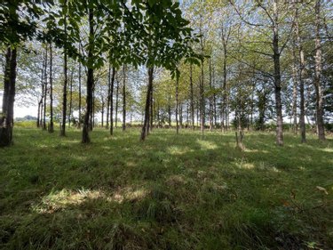 Terrains de loisirs bois etangs a vendre Poilley 35420 Ille-et-Vilaine 3090 m2  10000 euros