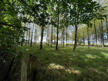 Terrains de loisirs bois etangs a vendre Poilley 35420 Ille-et-Vilaine 3090 m2  10000 euros