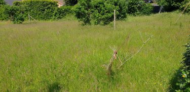 Terrain a batir a vendre Moncé-en-Belin 72230 Sarthe 797 m2  84000 euros