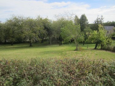 Terrain a batir a vendre Le Breuil 71670 Saône-et-Loire 946 m2  36000 euros