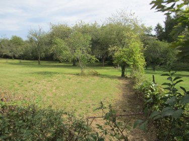 Terrain a batir a vendre Le Breuil 71670 Saône-et-Loire 946 m2  36000 euros