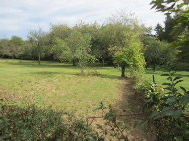 Terrain a batir a vendre Le Breuil 71670 Saône-et-Loire 946 m2  41000 euros