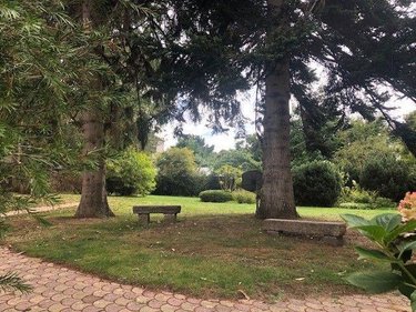 Maison a vendre Guingamp 22200 Côtes-d'Armor 200 m2  286000 euros