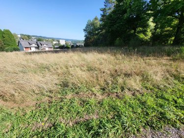 Terrain a batir a vendre Ussel 19200 Corrèze 7836 m2  40000 euros