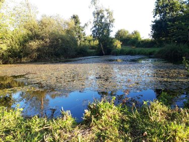 propriete a vendre Neulliac 56300 Morbihan 510 m2 22 pièces 570000 euros