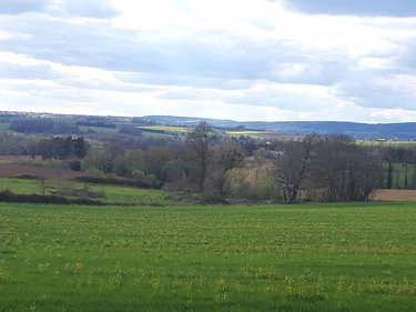 propriete a vendre Neulliac 56300 Morbihan 510 m2 22 pièces 570000 euros