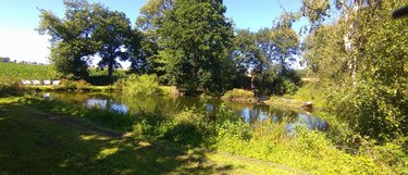 propriete a vendre Neulliac 56300 Morbihan 510 m2 22 pièces 570000 euros