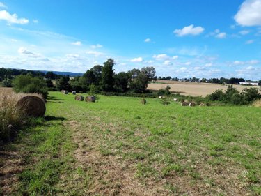 propriete a vendre Neulliac 56300 Morbihan 510 m2 22 pièces 570000 euros