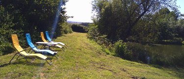 propriete a vendre Neulliac 56300 Morbihan 510 m2 22 pièces 570000 euros