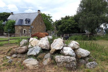 propriete a vendre Neulliac 56300 Morbihan 510 m2 22 pièces 570000 euros