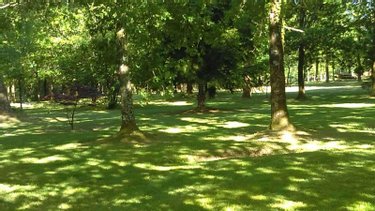 Maison a vendre Camors 56330 Morbihan 155 m2 8 pièces 496000 euros