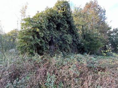 Maison a vendre Carnet 50240 Manche 60 m2 2 pièces 42400 euros