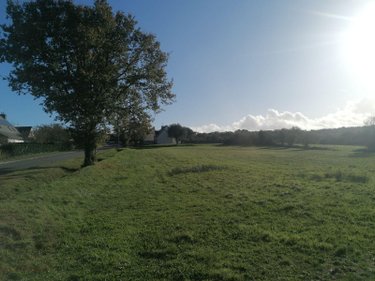 Terrain a batir a vendre Saint-Thurial 35310 Ille-et-Vilaine 325 m2  52000 euros