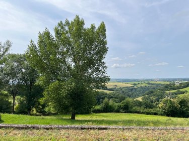 propriete a vendre Rullac-Saint-Cirq 12120 Aveyron 95 m2  140000 euros