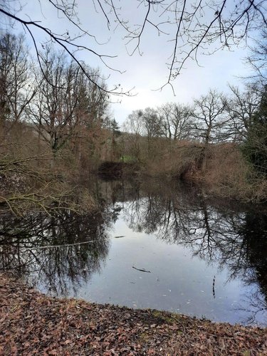 Terrains de loisirs bois etangs a vendre Soupir 02160 Aisne 10470 m2  23000 euros