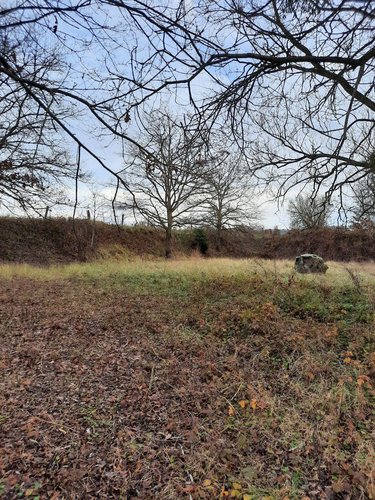 Terrains de loisirs bois etangs a vendre Soupir 02160 Aisne 10470 m2  23000 euros