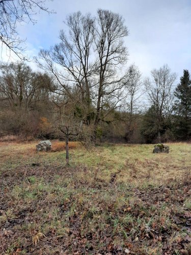 Terrains de loisirs bois etangs a vendre Soupir 02160 Aisne 10470 m2  23000 euros